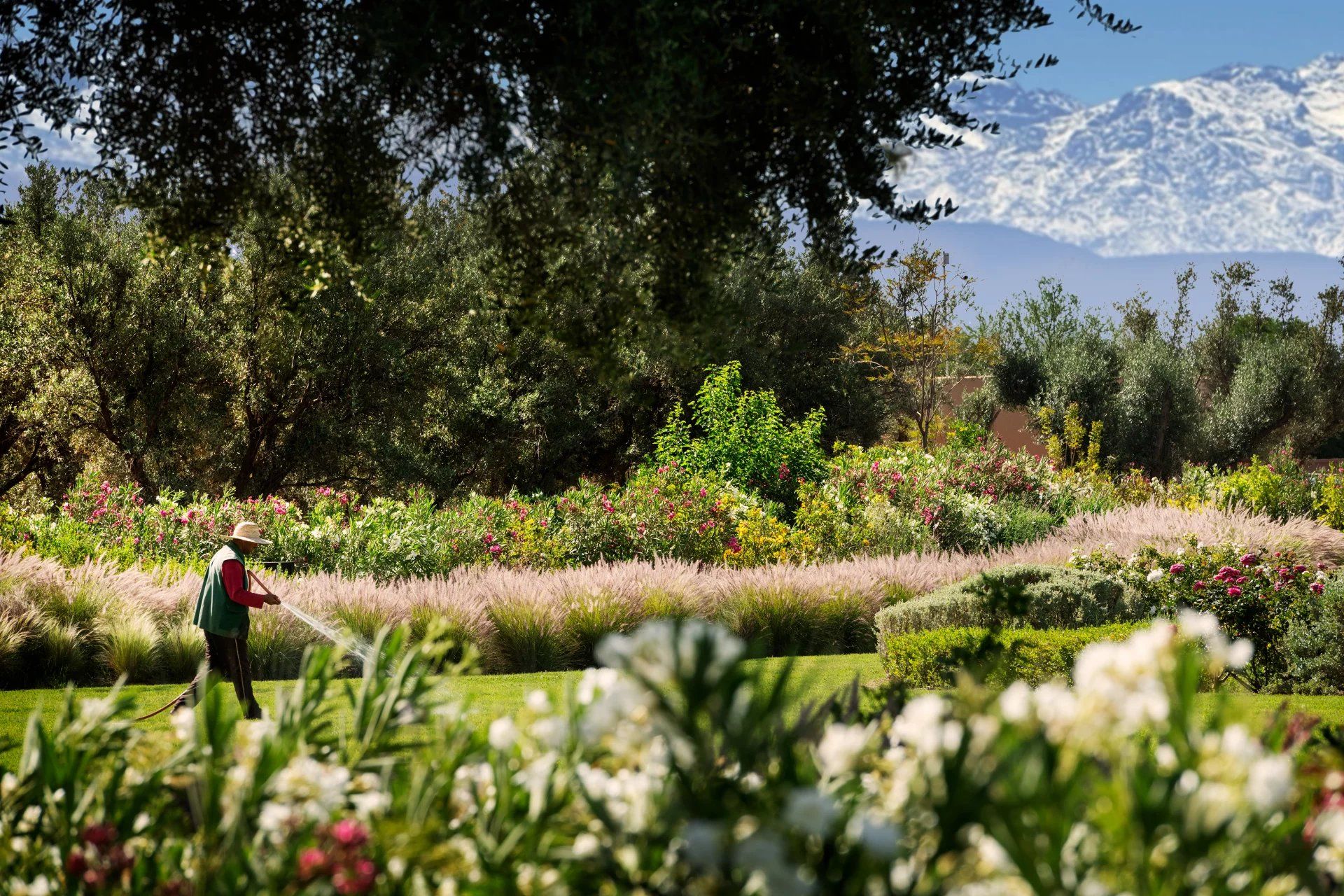 Buy Villa 8 rooms 750 m² Marrakech