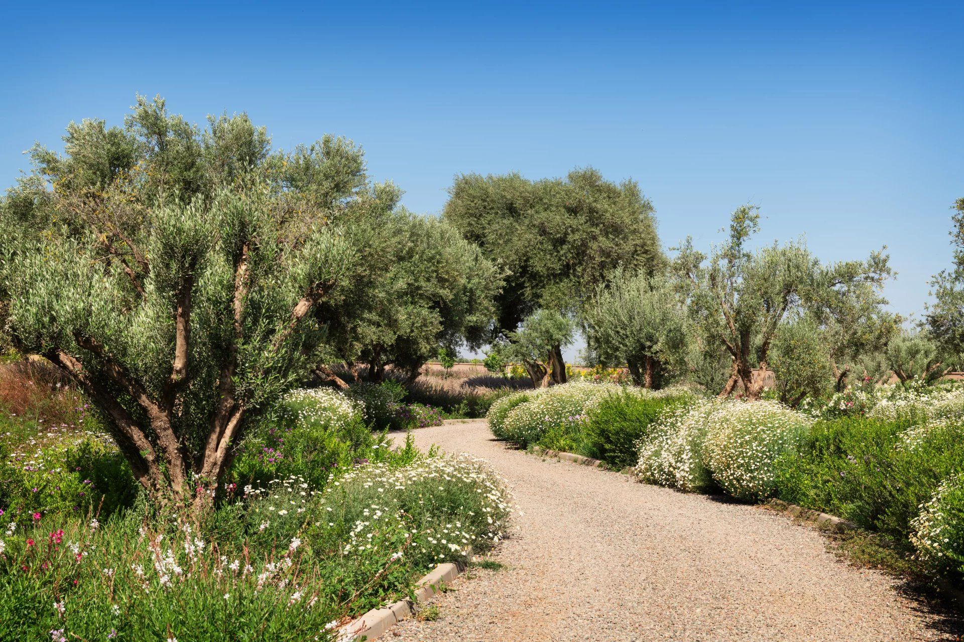 Buy Villa 8 rooms 750 m² Marrakech