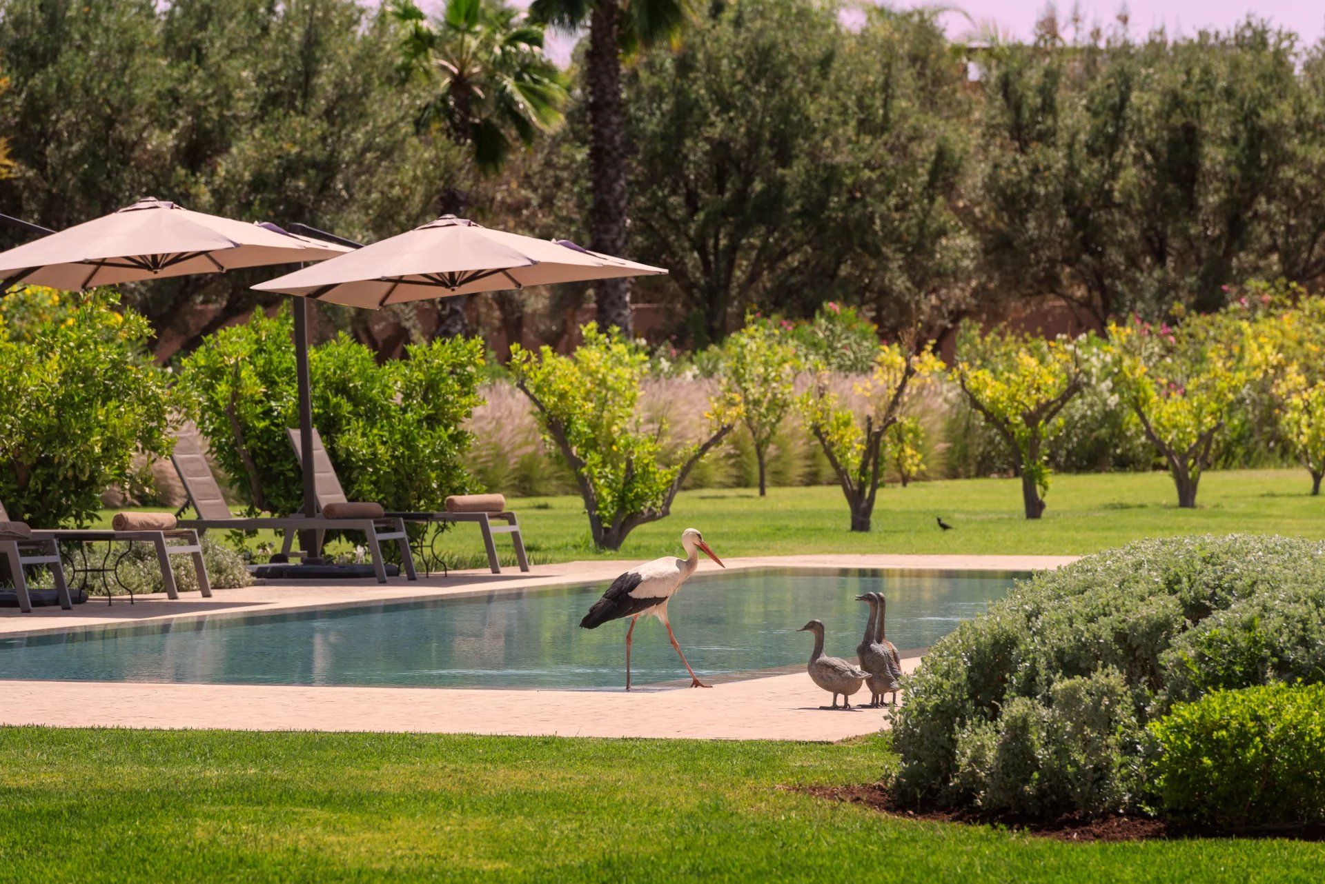 Acheter Villa 8&nbsp;pièces 750&nbsp;m² Marrakech