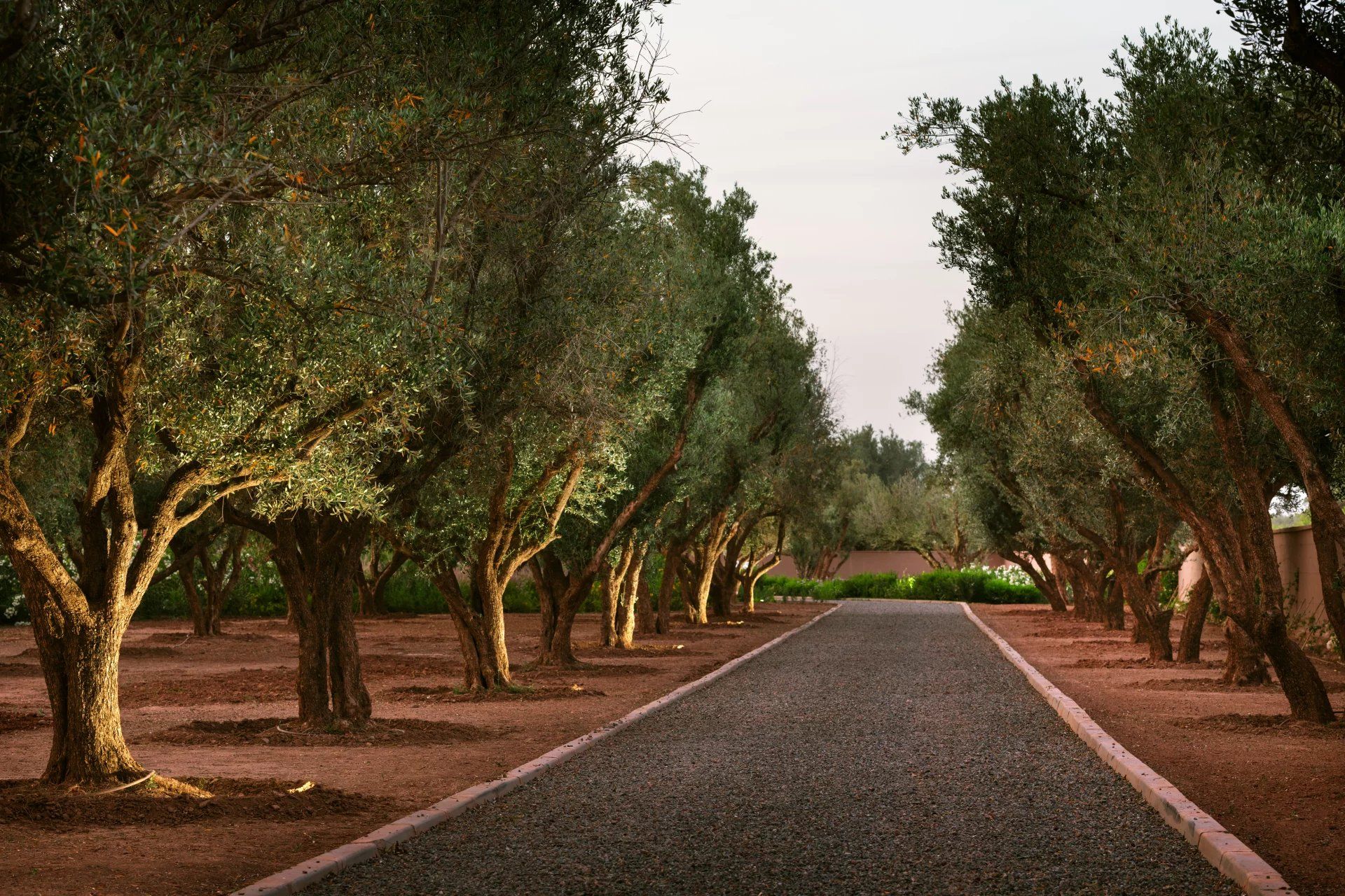 Buy Villa 8 rooms 750 m² Marrakech