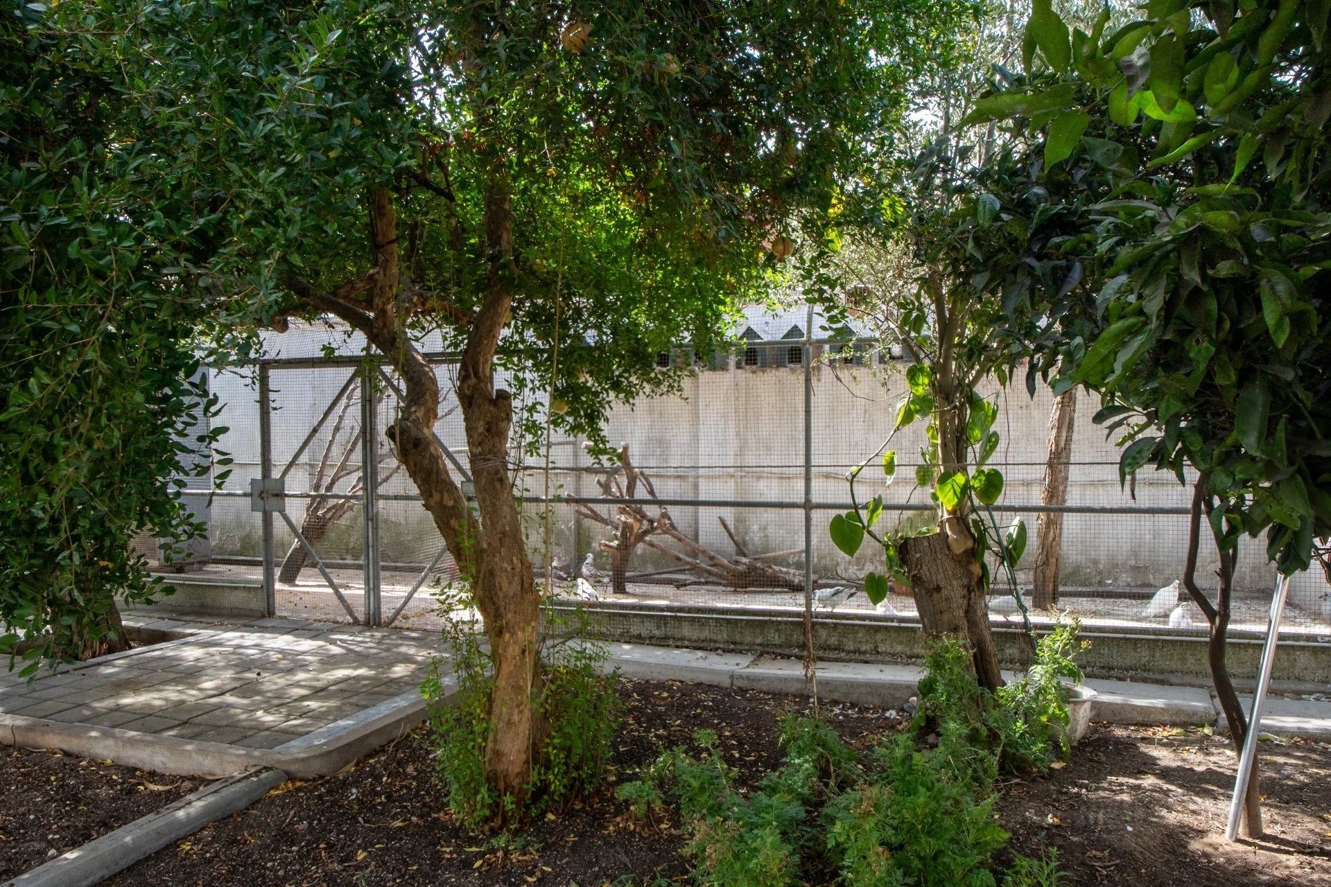 Acheter Villa 11 pièces 900 m² Tanger