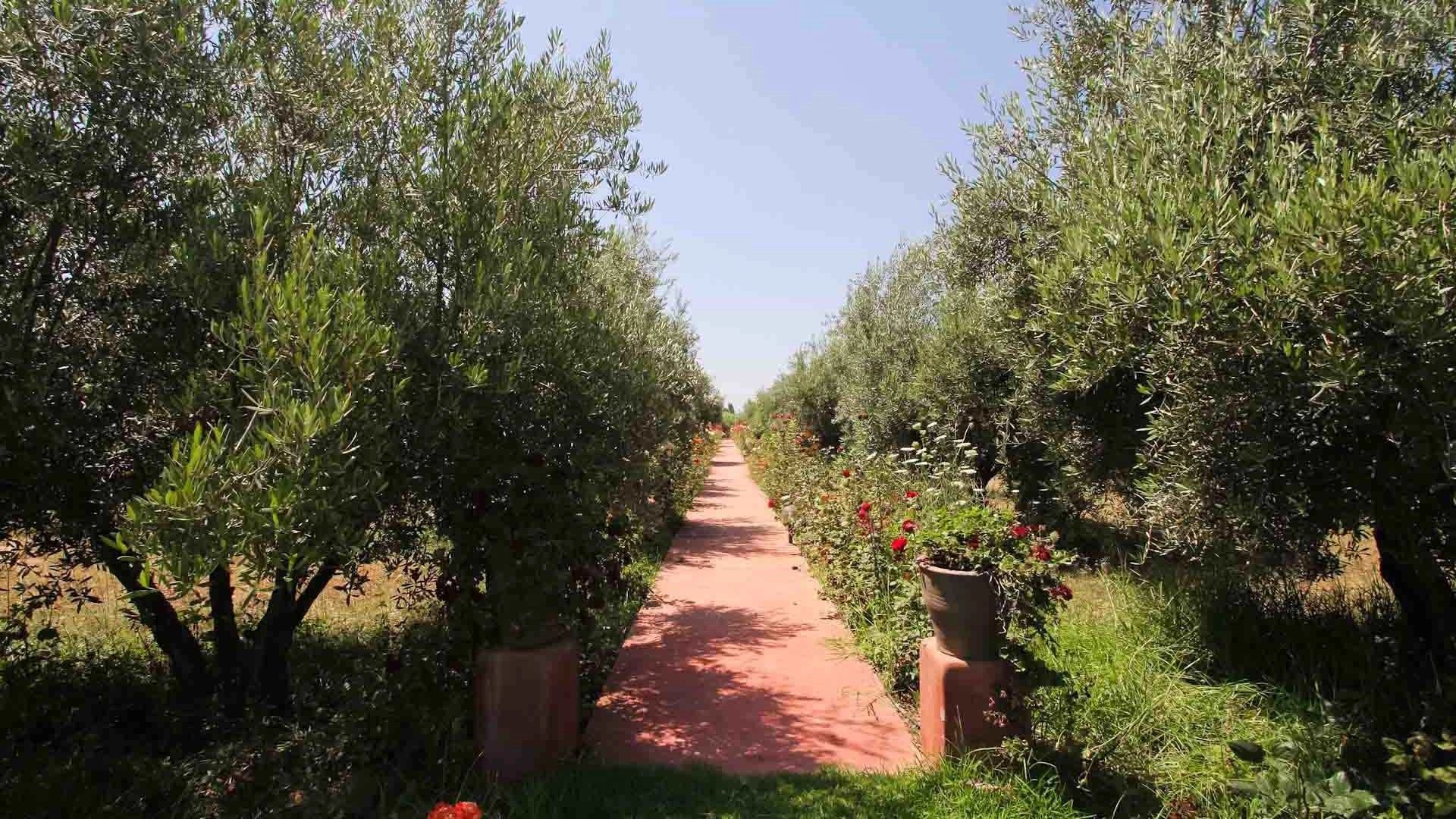 Acheter Villa 8&nbsp;pièces 1200&nbsp;m² Marrakech