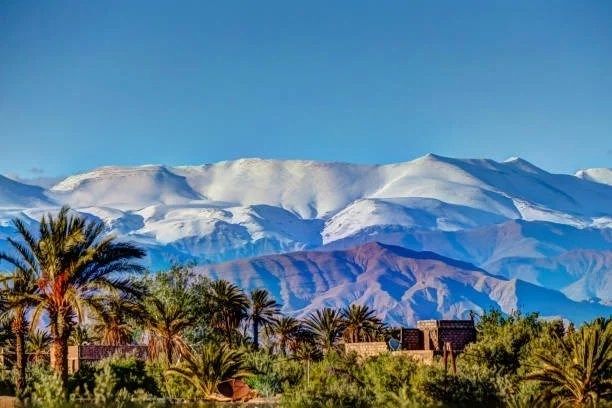 Acheter Terrain 1250&nbsp;m² Marrakech