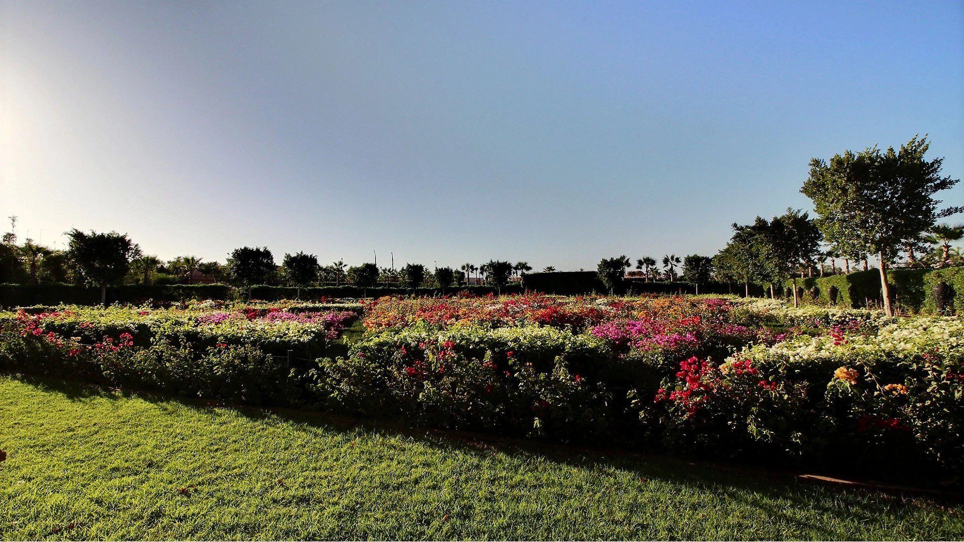 Acheter Villa 15 pièces 1800 m² Marrakech