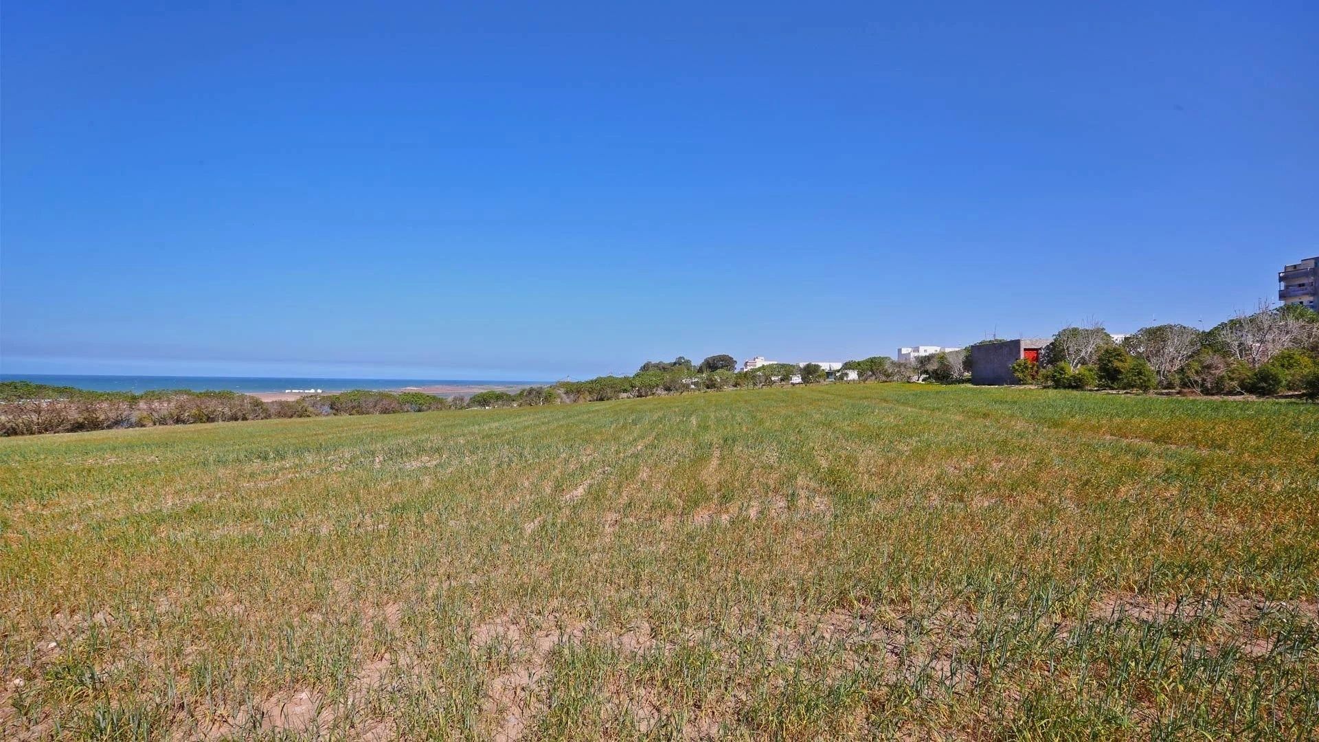 Buy Land 5000&nbsp;m² Oualidia