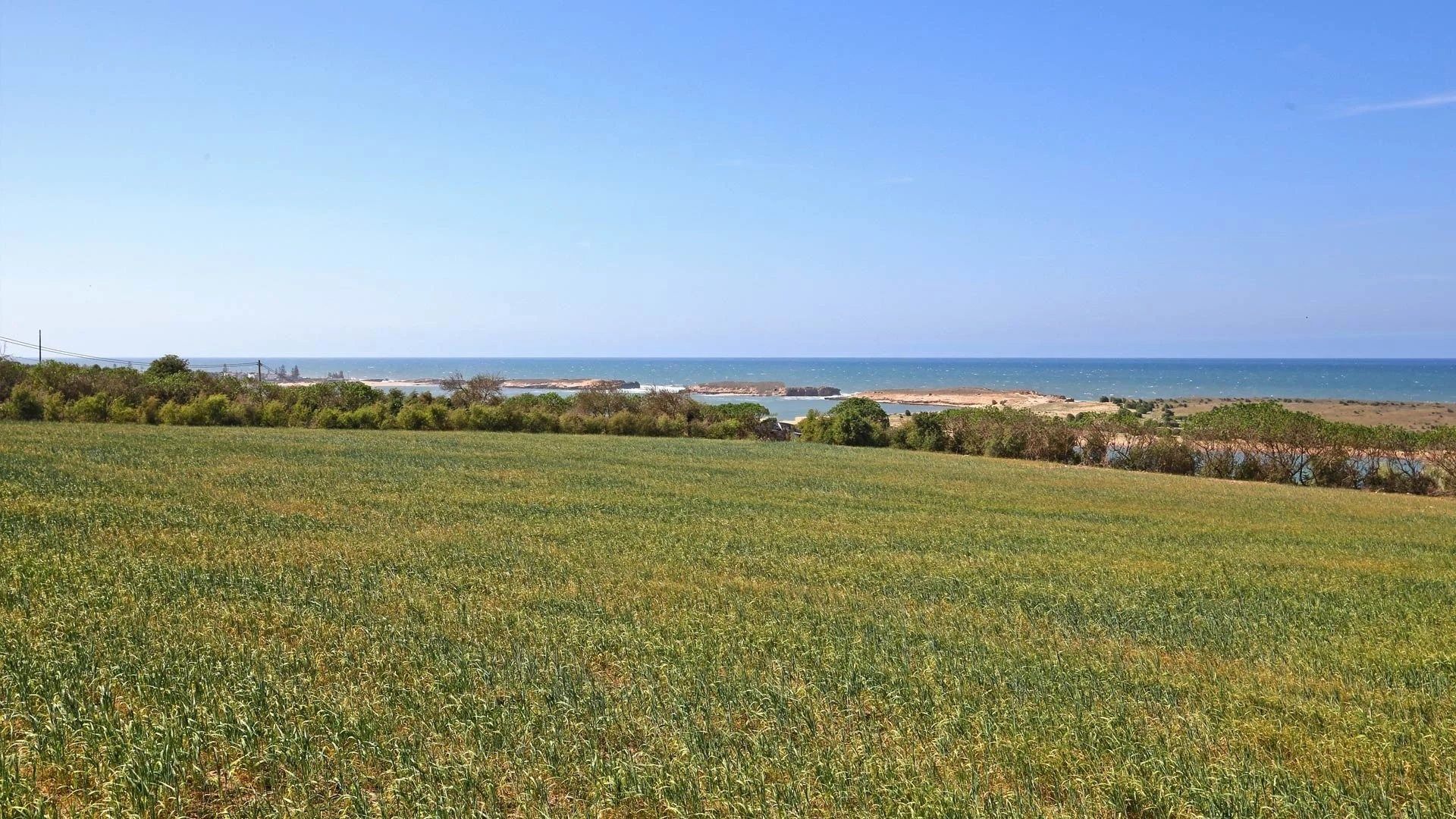 Buy Land 5000&nbsp;m² Oualidia