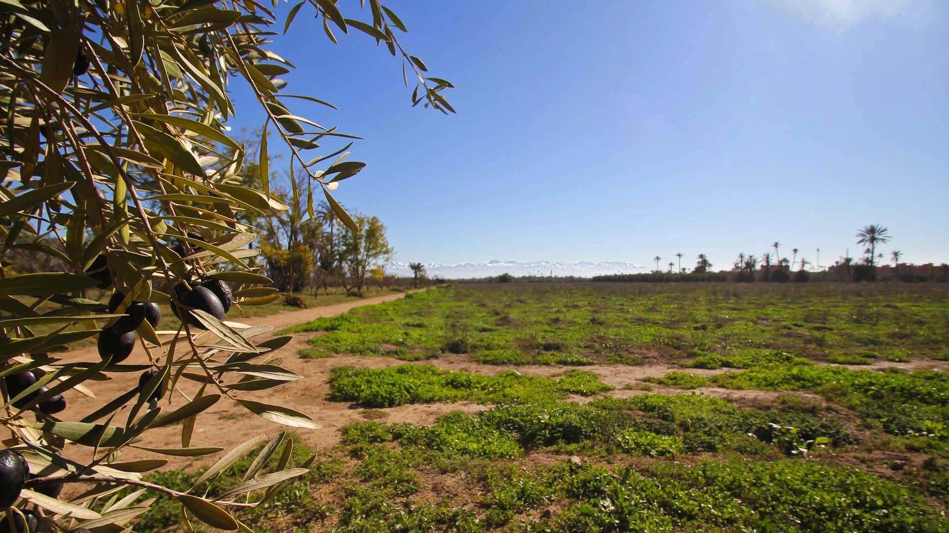 Buy Buildable land 16.77&nbsp;ha Marrakech