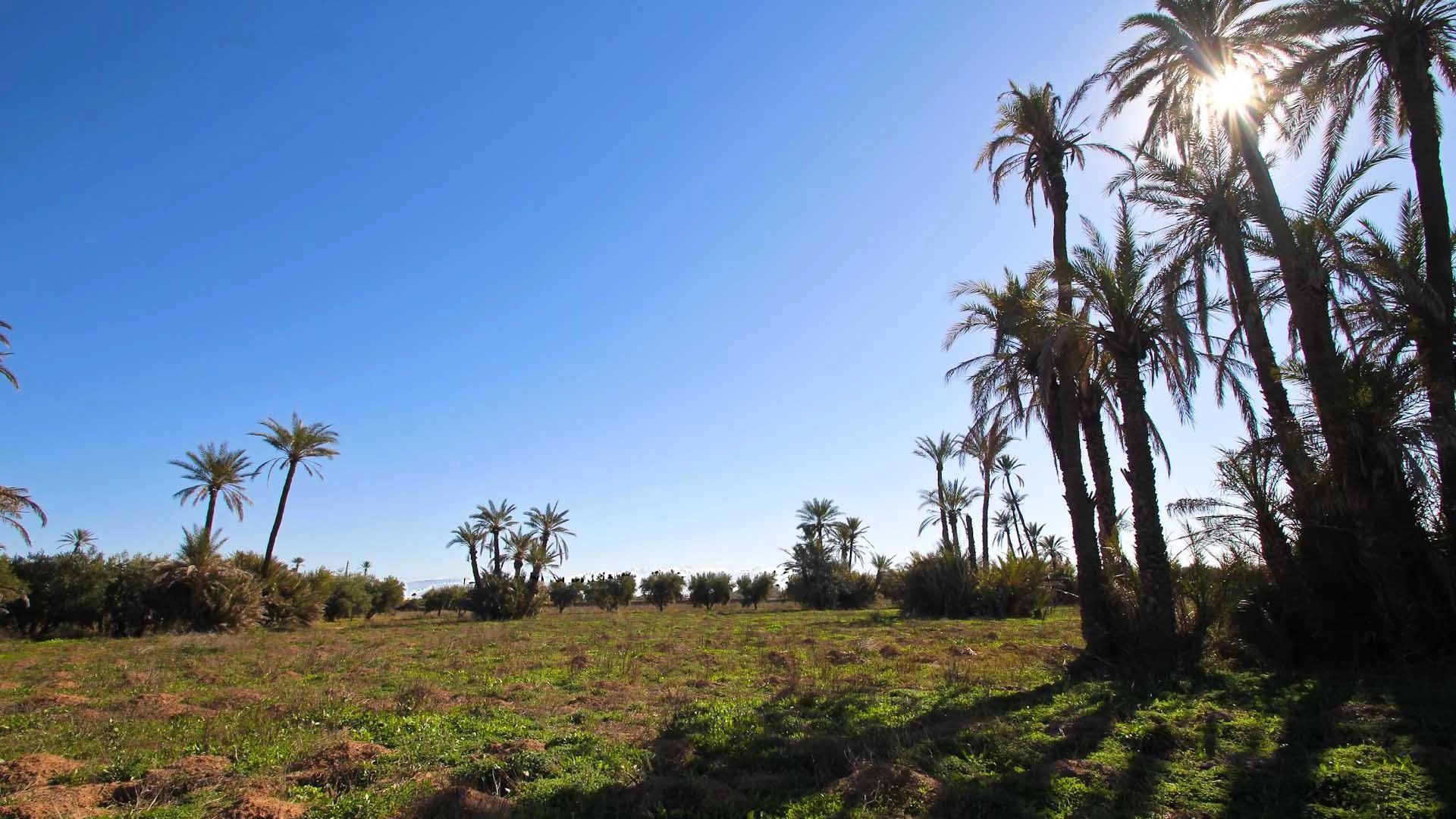 Buy Buildable land 16.77&nbsp;ha Marrakech