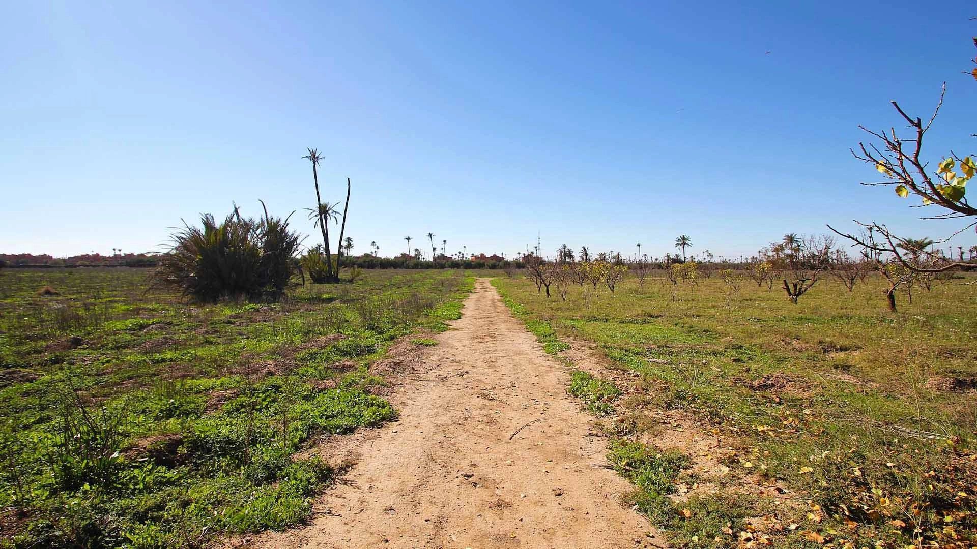 Buy Buildable land 16.77&nbsp;ha Marrakech