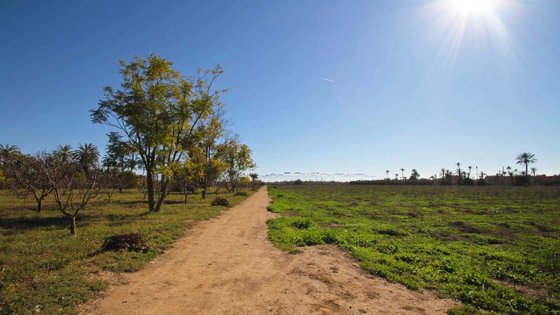 Buy Buildable land 16.77&nbsp;ha Marrakech