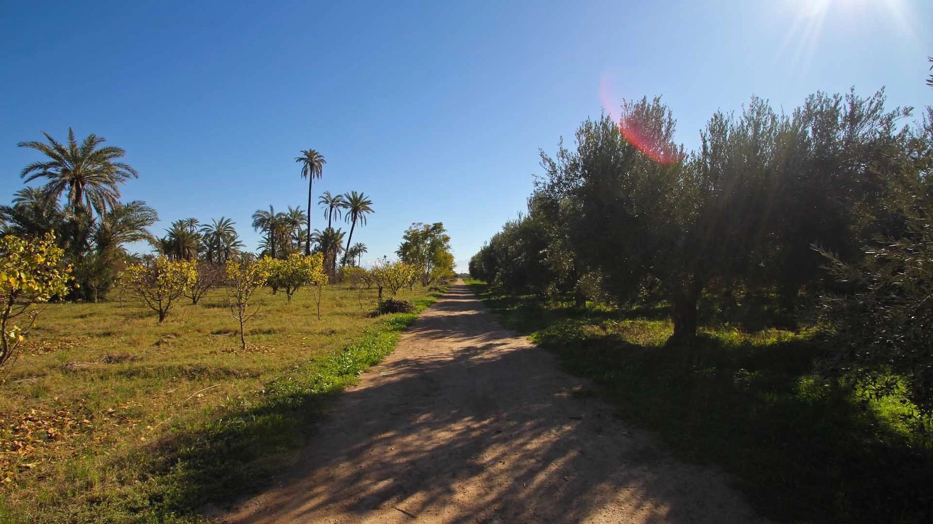Buy Buildable land 16.77&nbsp;ha Marrakech