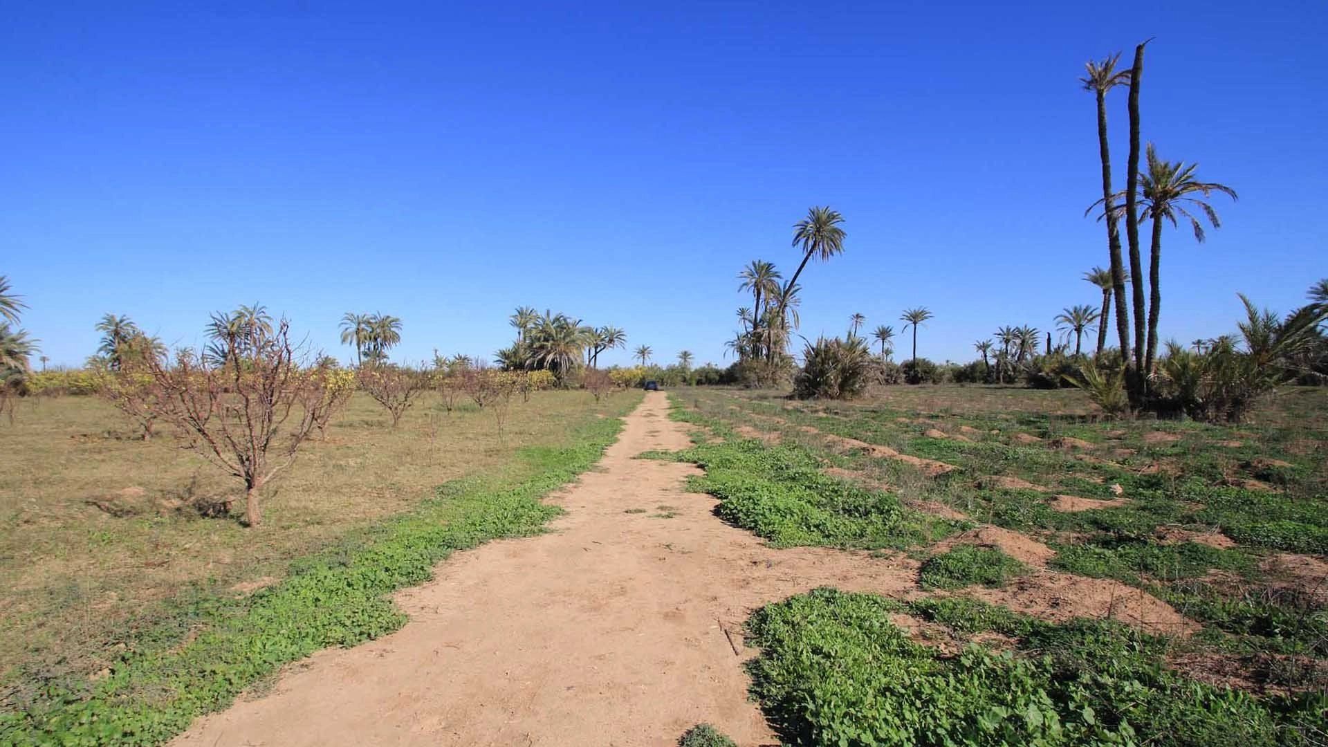 Acheter Terrain à bâtir 16.77&nbsp;ha Marrakech