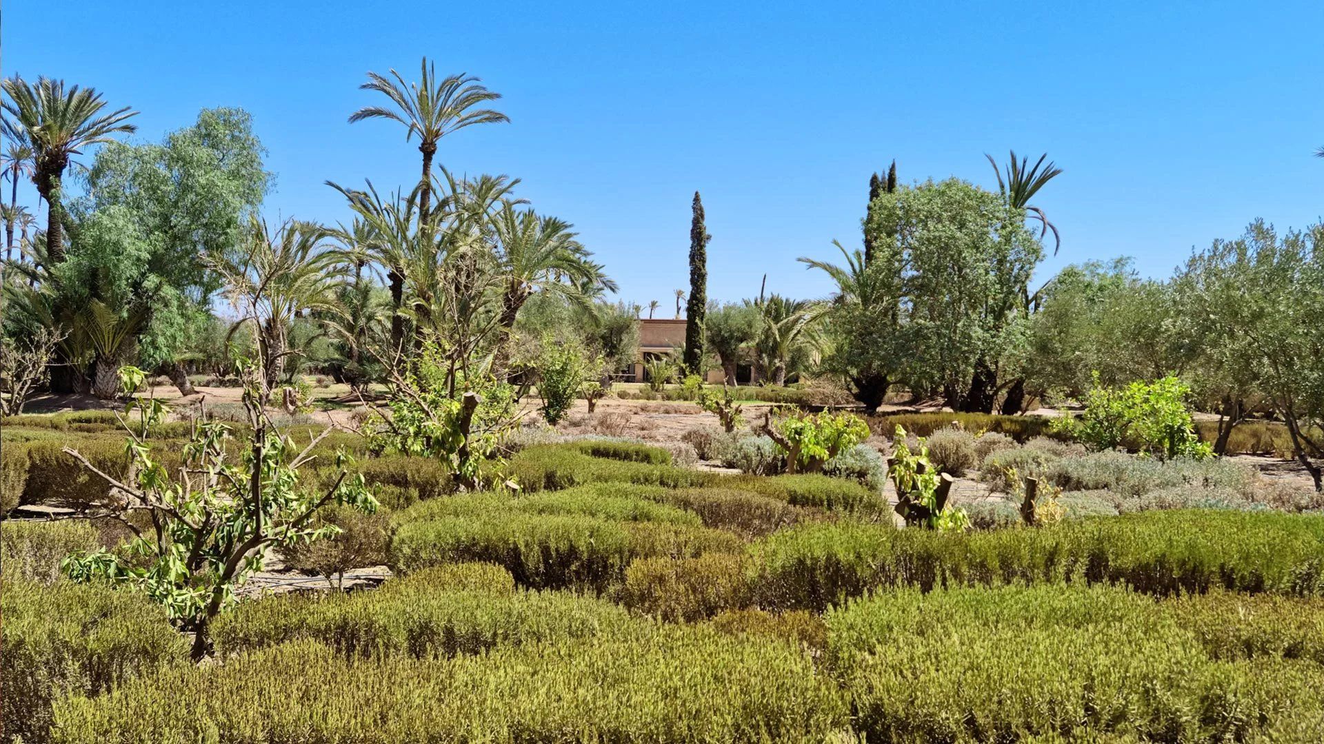 Buy Villa 25&nbsp;rooms 1907&nbsp;m² Marrakech