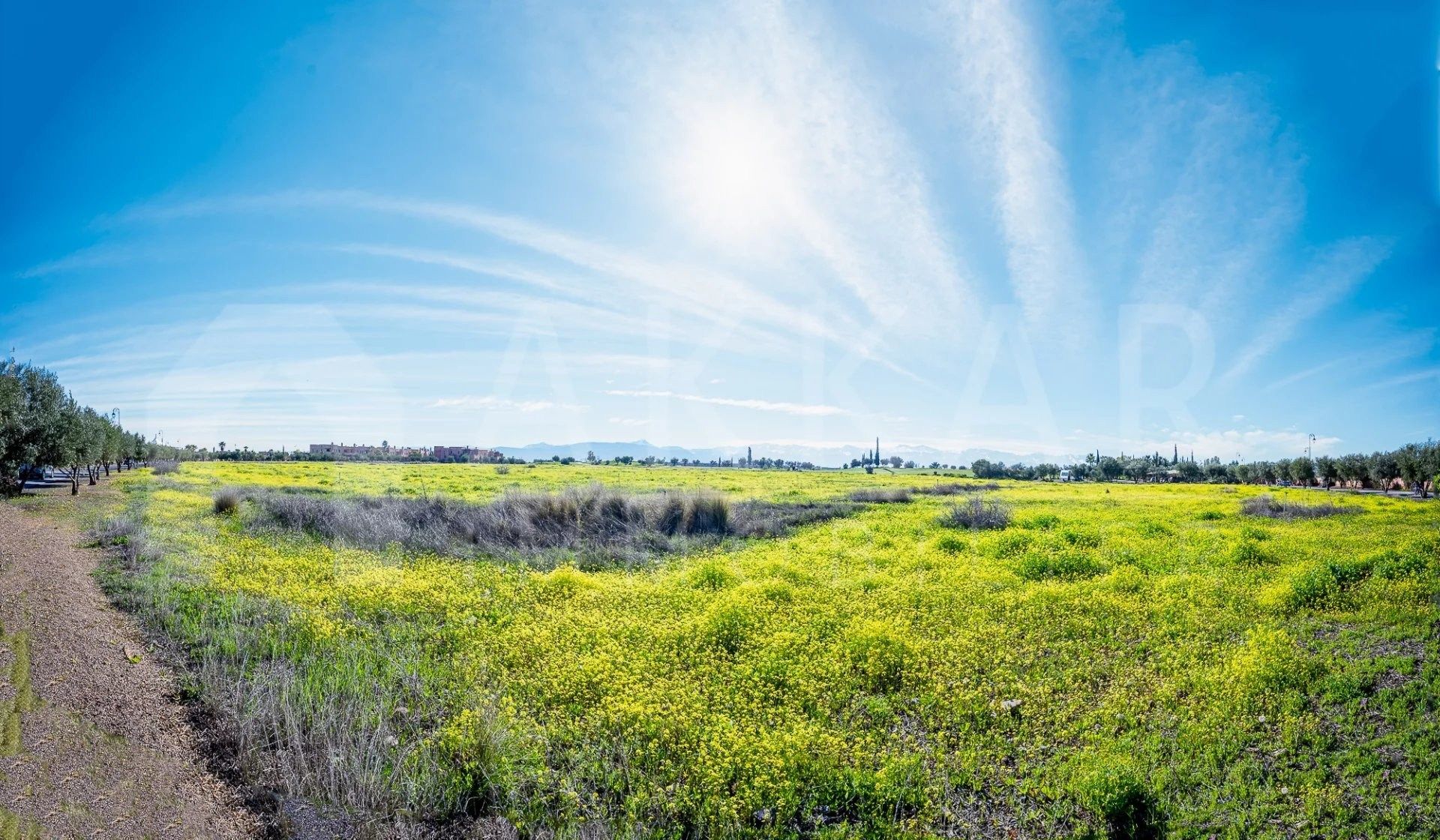 Acheter Terrain 3.92&nbsp;ha Marrakech