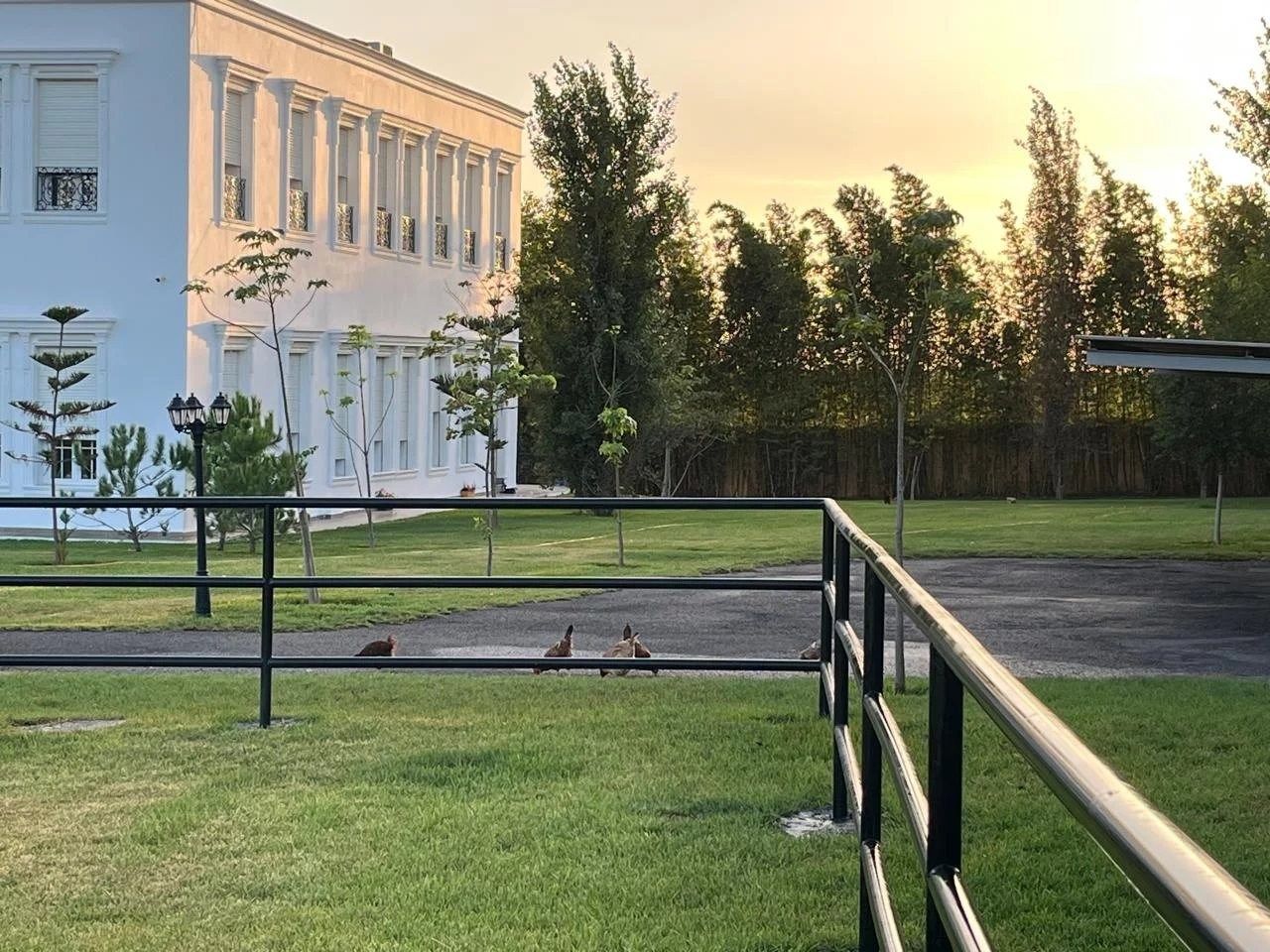 Acheter Maison 9&nbsp;pièces 650&nbsp;m² Kénitra