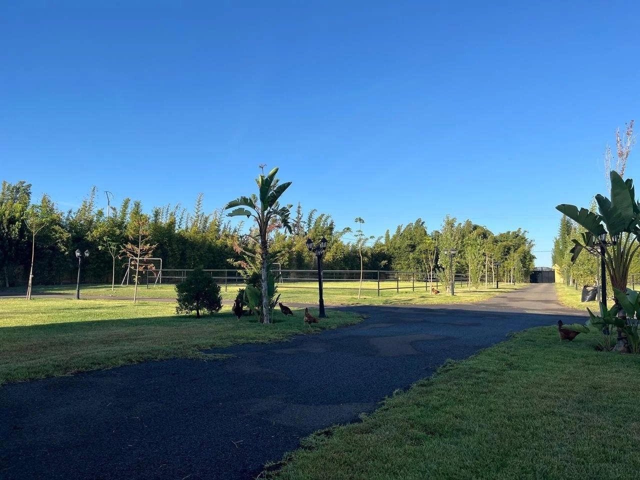 Acheter Maison 9&nbsp;pièces 650&nbsp;m² Kénitra