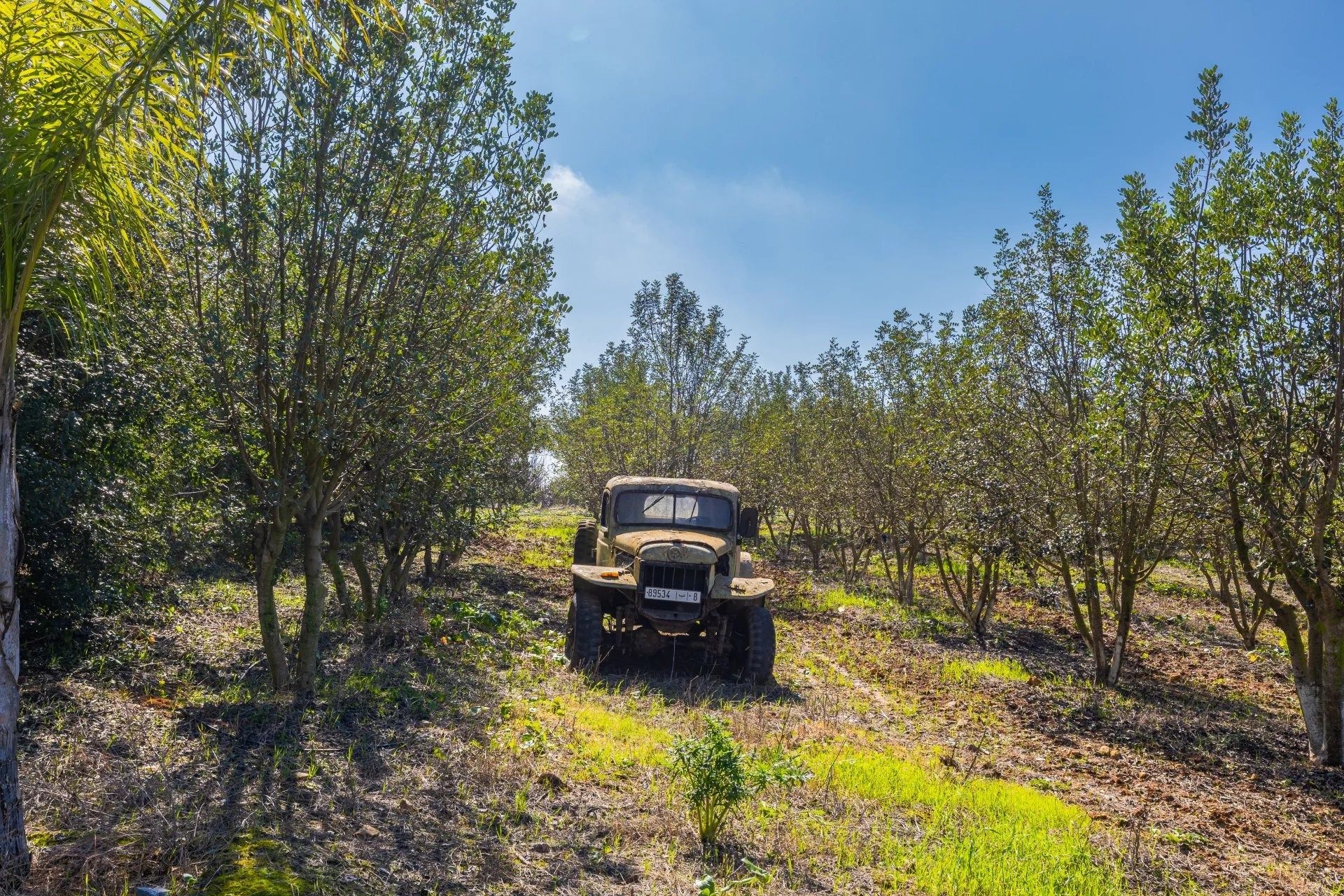 Acheter Maison 15&nbsp;pièces 130000&nbsp;m² Benslimane