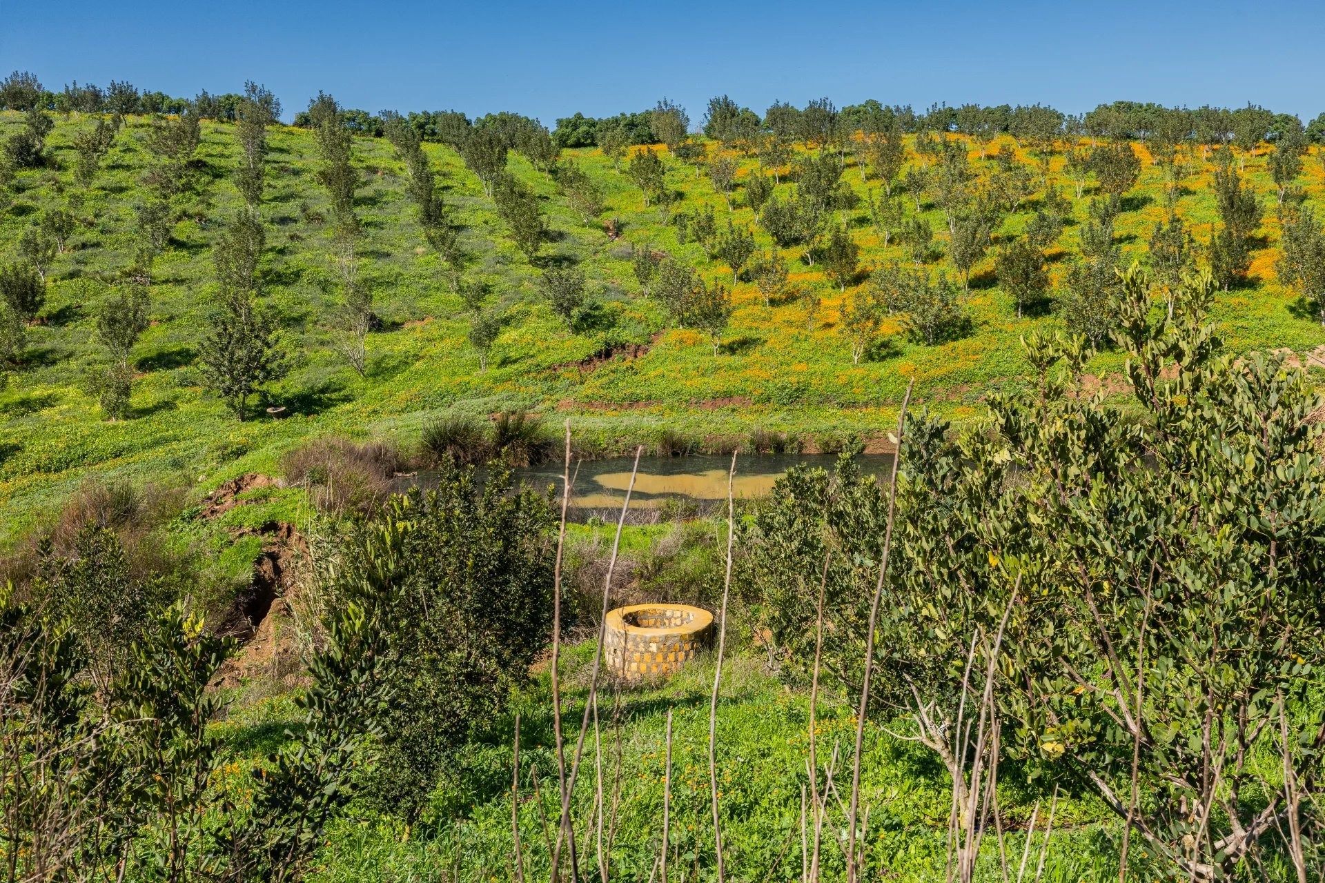 Acheter Maison 15&nbsp;pièces 130000&nbsp;m² Benslimane