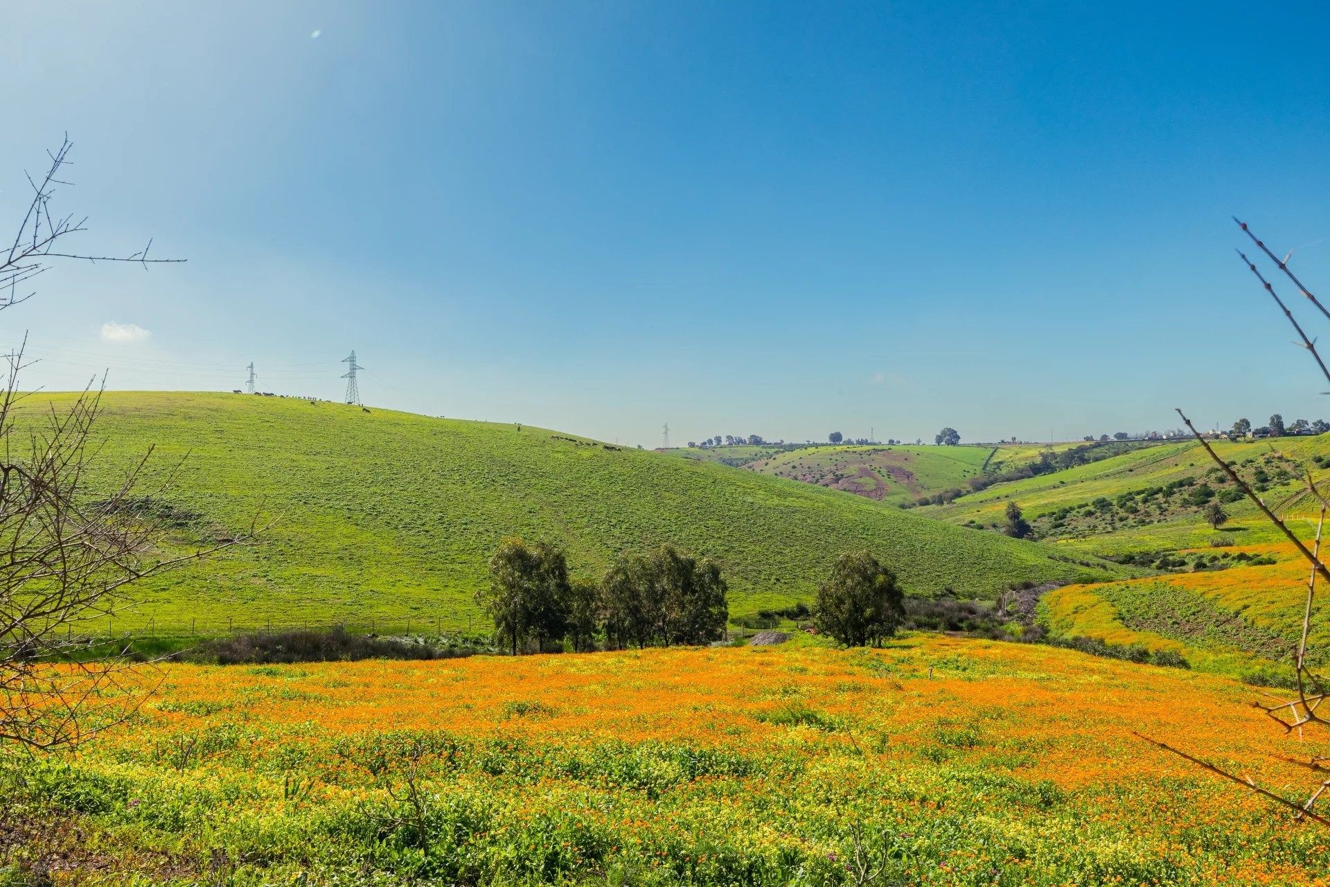 Acheter Maison 15&nbsp;pièces 130000&nbsp;m² Benslimane