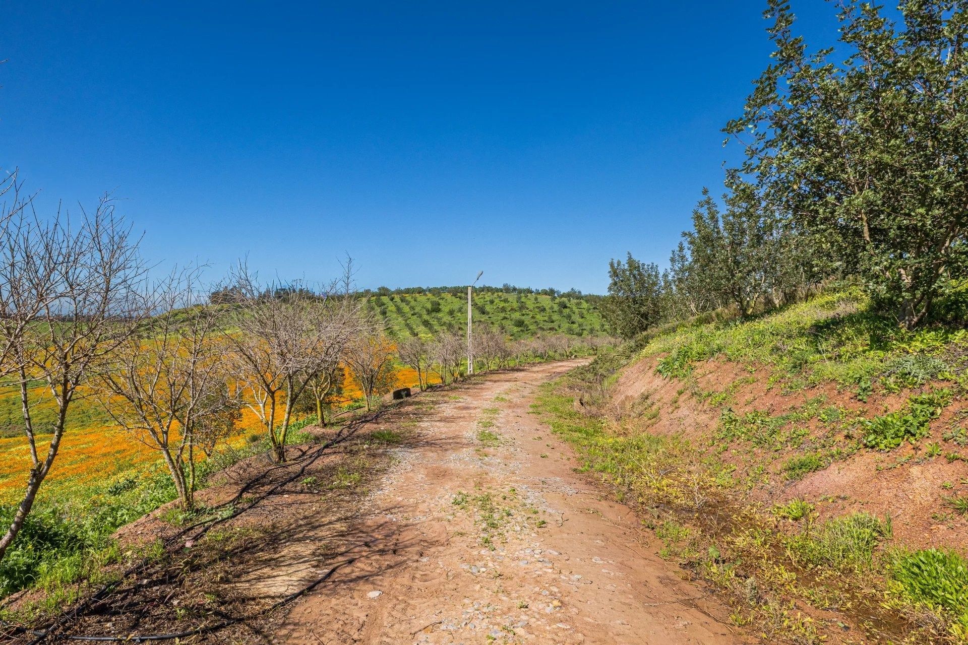 Acheter Maison 15&nbsp;pièces 130000&nbsp;m² Benslimane
