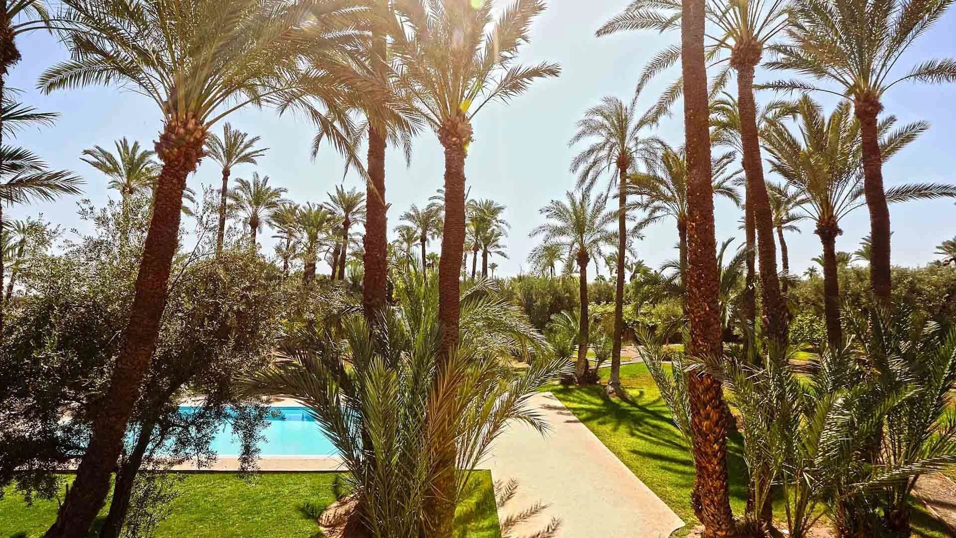 Buy Villa 7&nbsp;rooms 700&nbsp;m² Marrakech