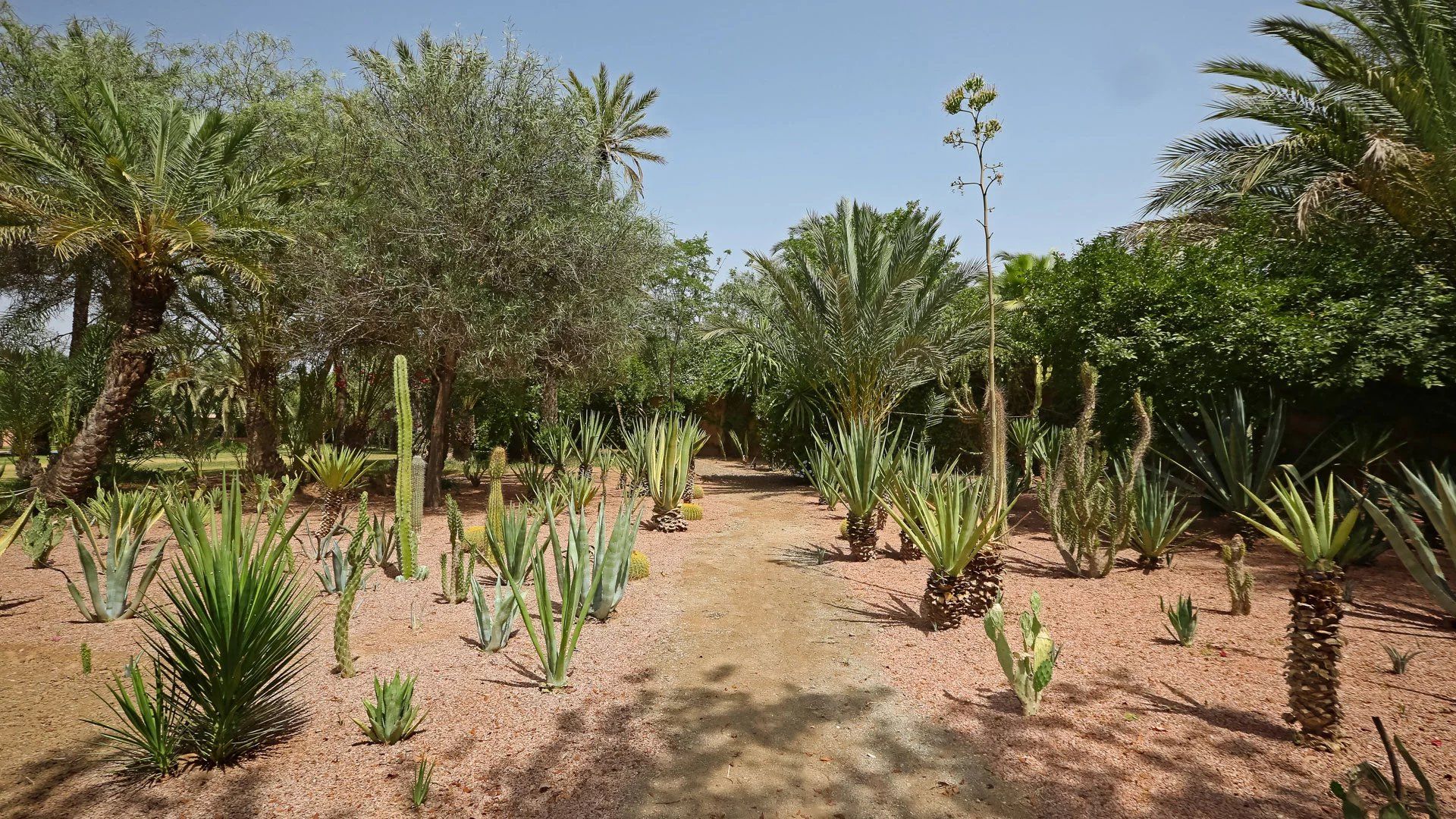 Buy Villa 8&nbsp;rooms 1810&nbsp;m² Marrakech