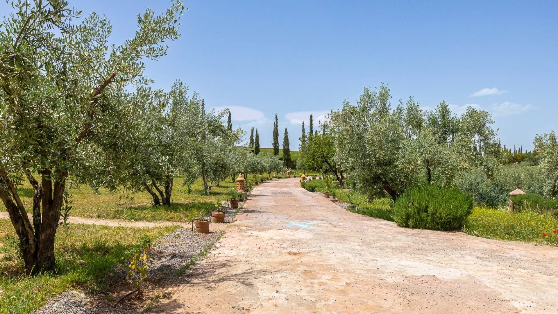 Buy Villa 15&nbsp;rooms 1100&nbsp;m² Marrakech
