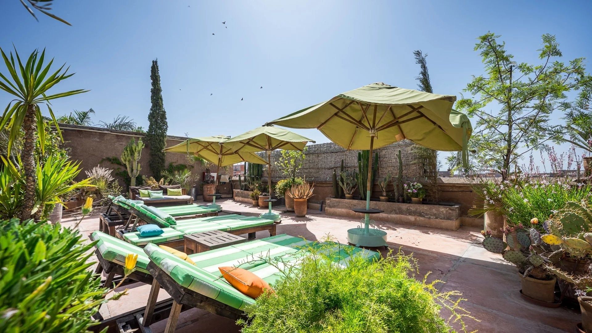 Acheter Riad 13&nbsp;pièces 650&nbsp;m² Marrakech