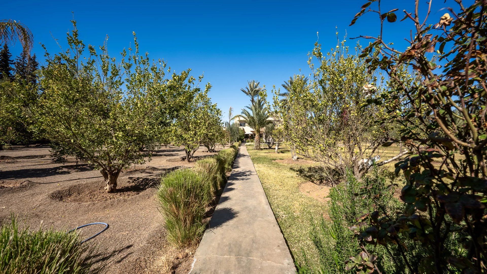Acheter Villa 14&nbsp;pièces 900&nbsp;m² Marrakech