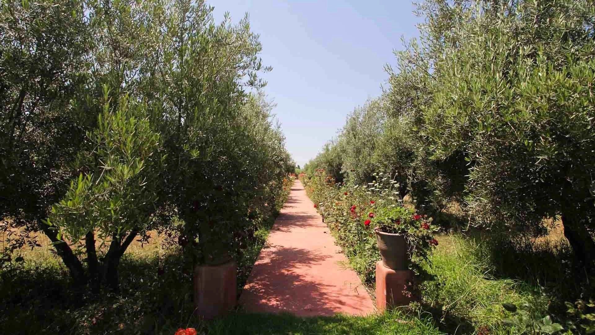 Louer Villa 8&nbsp;pièces 1200&nbsp;m² Marrakech