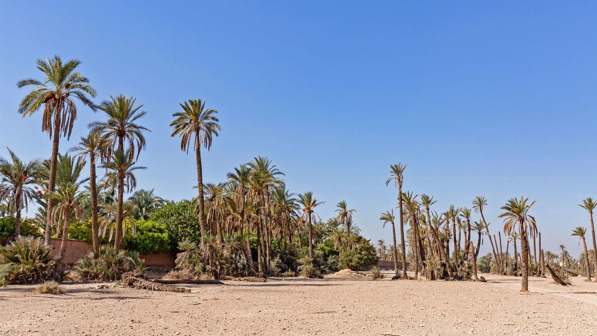 Acheter Terrain à bâtir 5.47&nbsp;ha Marrakech