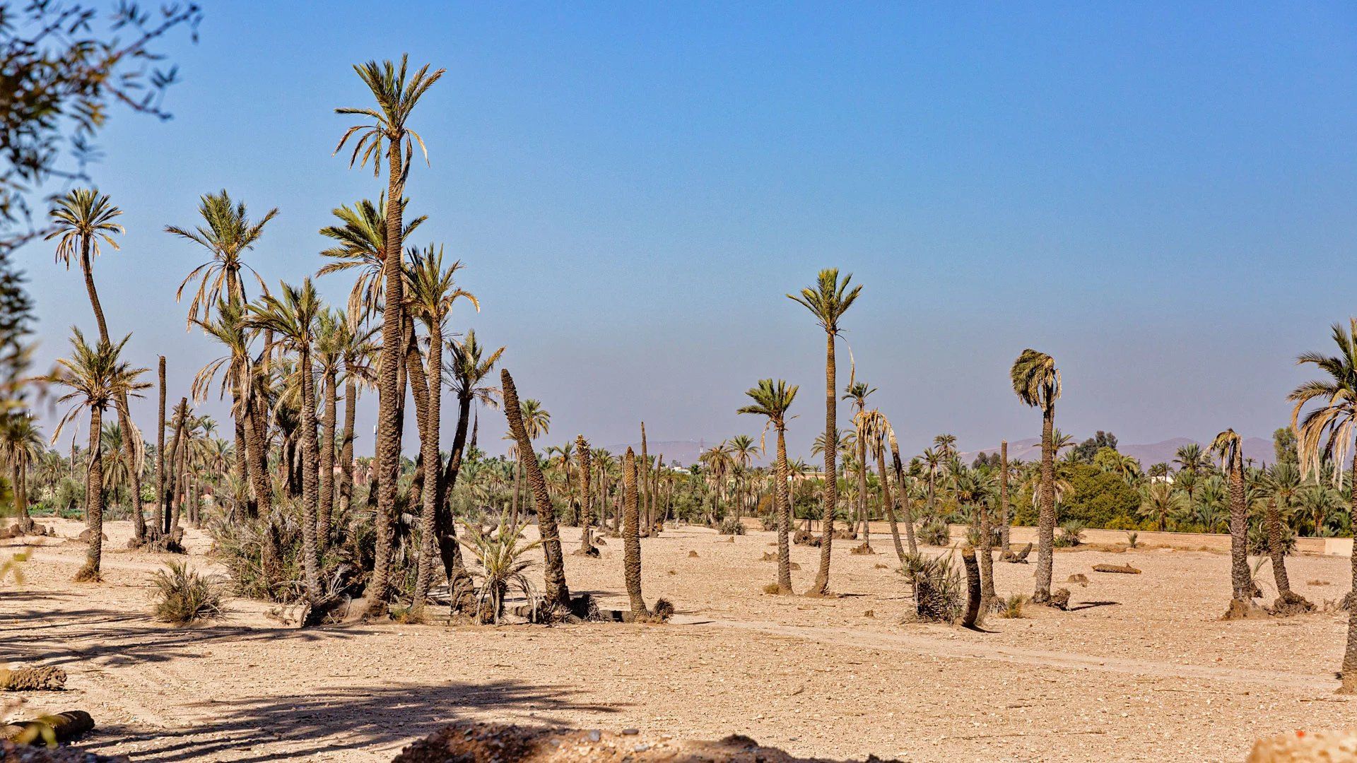 Acheter Terrain à bâtir 5.47&nbsp;ha Marrakech