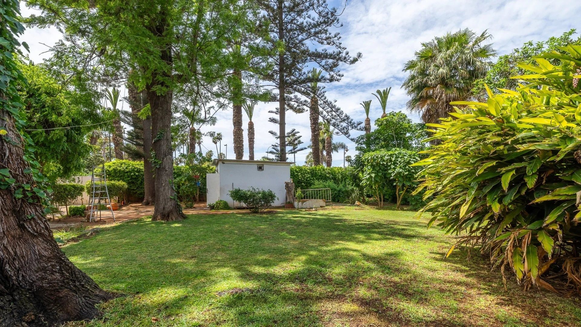 Acheter Villa 8&nbsp;pièces 400&nbsp;m² Mohammedia