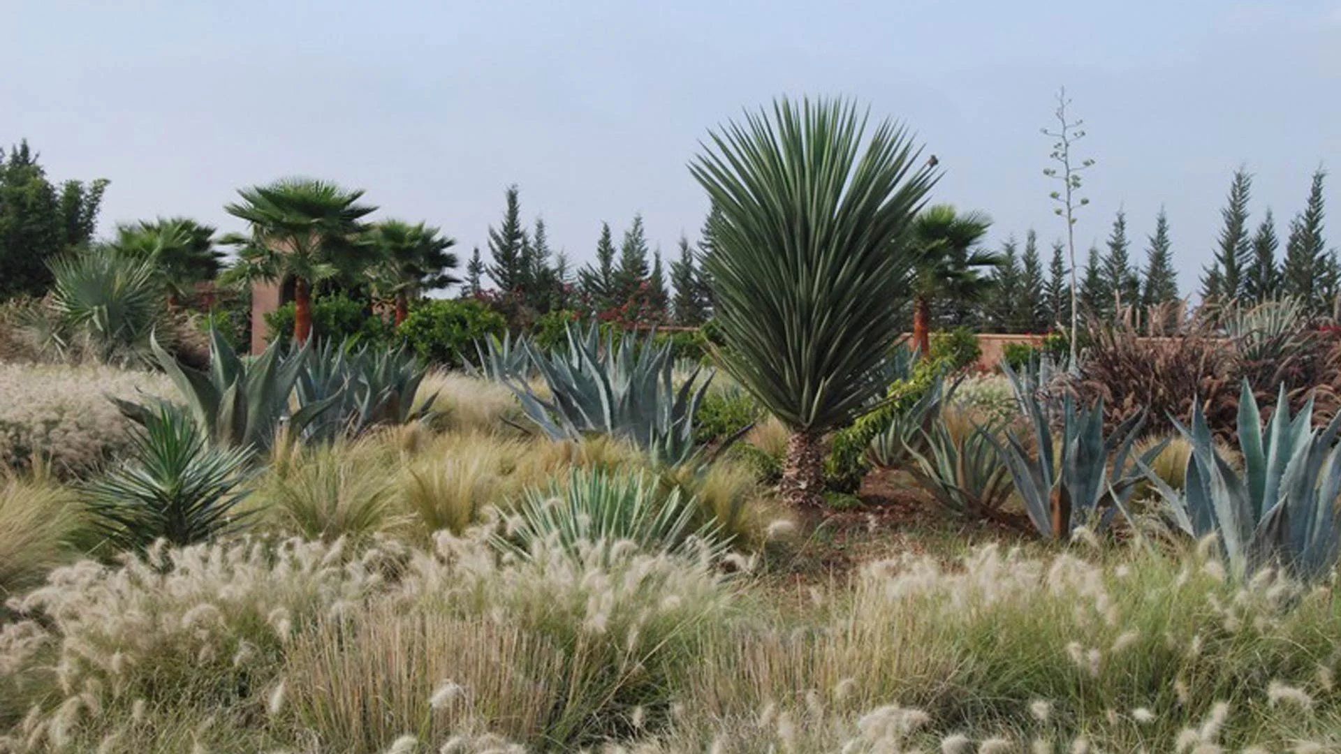 Buy Villa 11&nbsp;rooms 900&nbsp;m² Marrakech