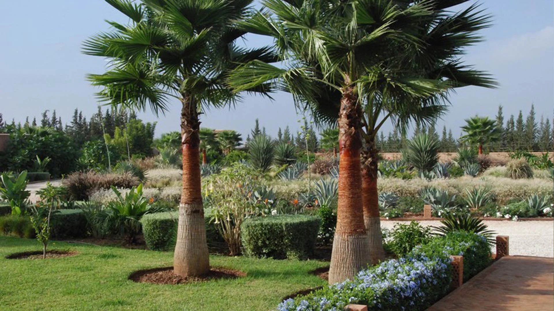 Buy Villa 11&nbsp;rooms 900&nbsp;m² Marrakech