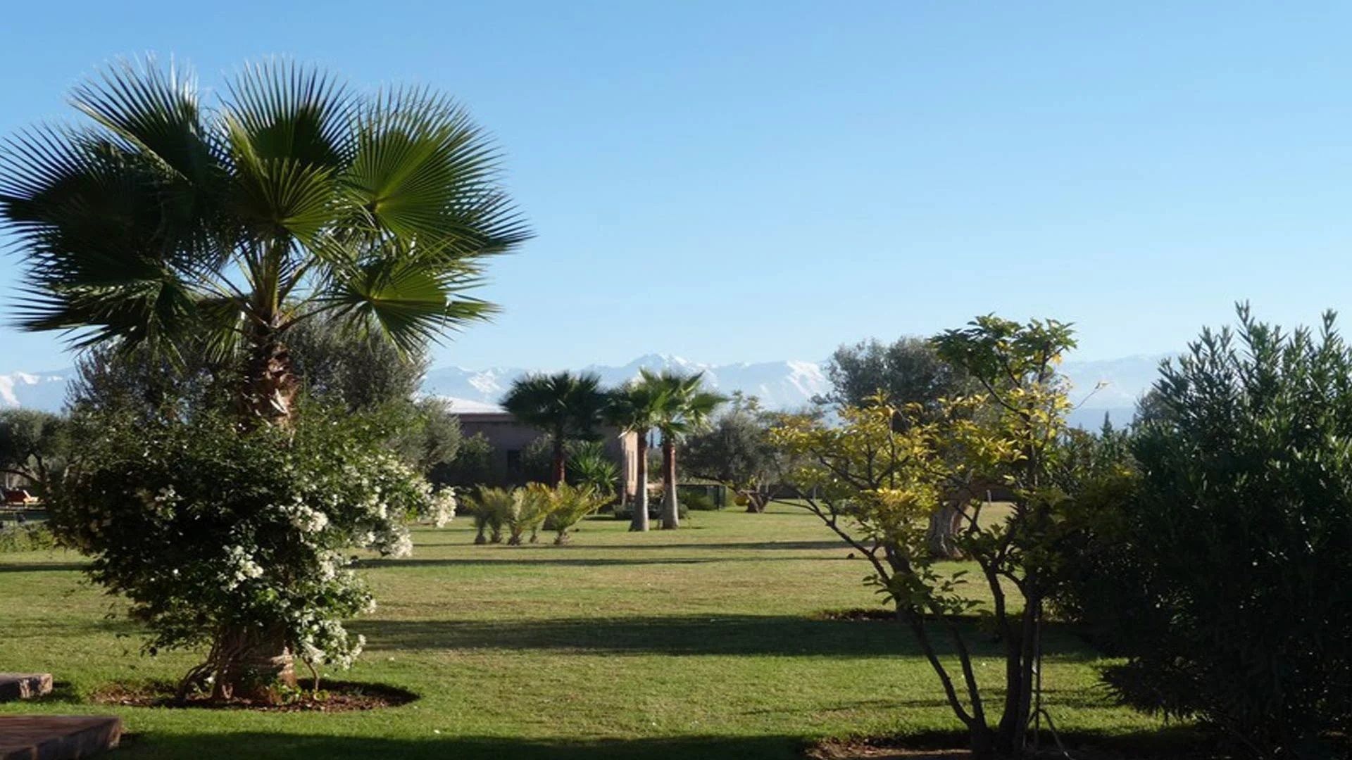 Buy Villa 11&nbsp;rooms 900&nbsp;m² Marrakech