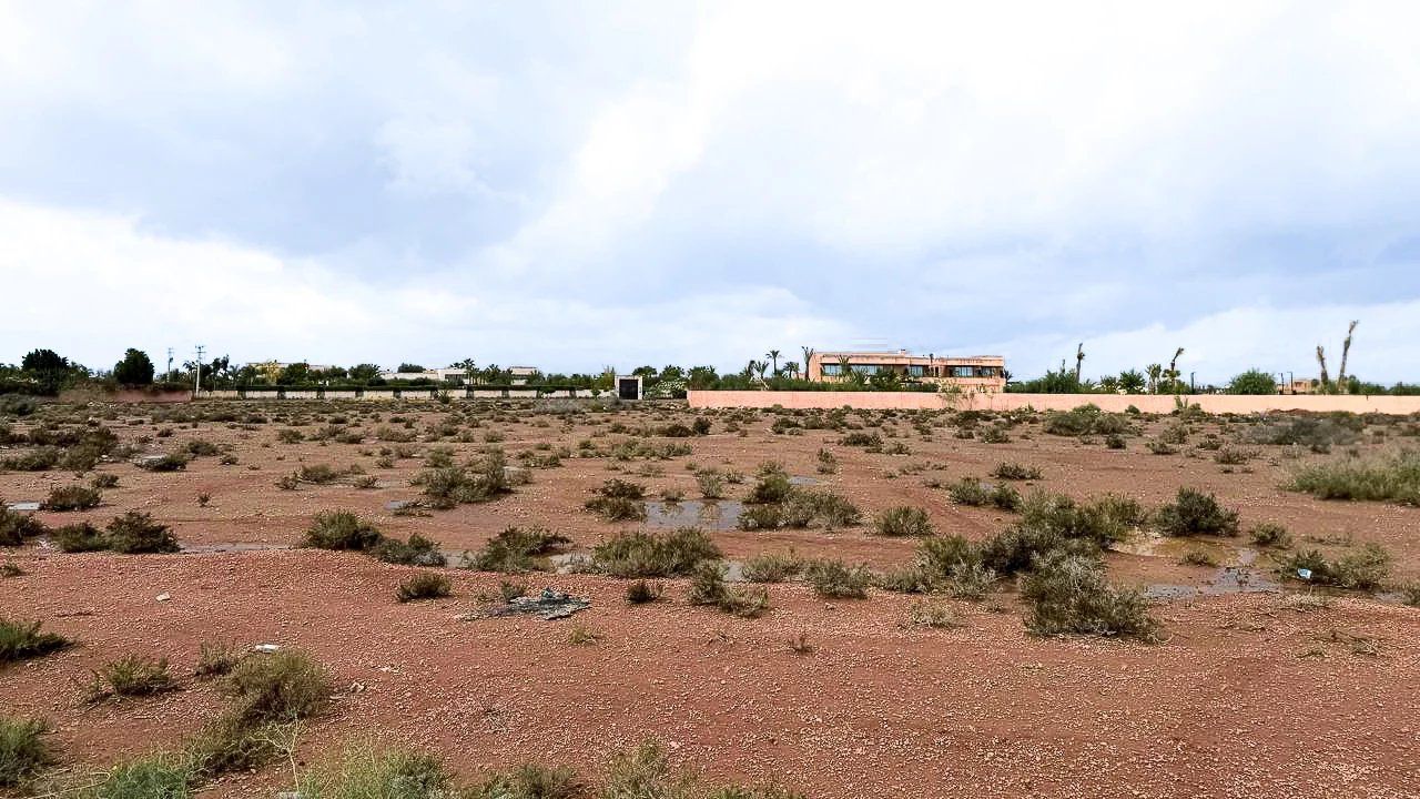 Acheter Terrain 1&nbsp;ha Marrakech