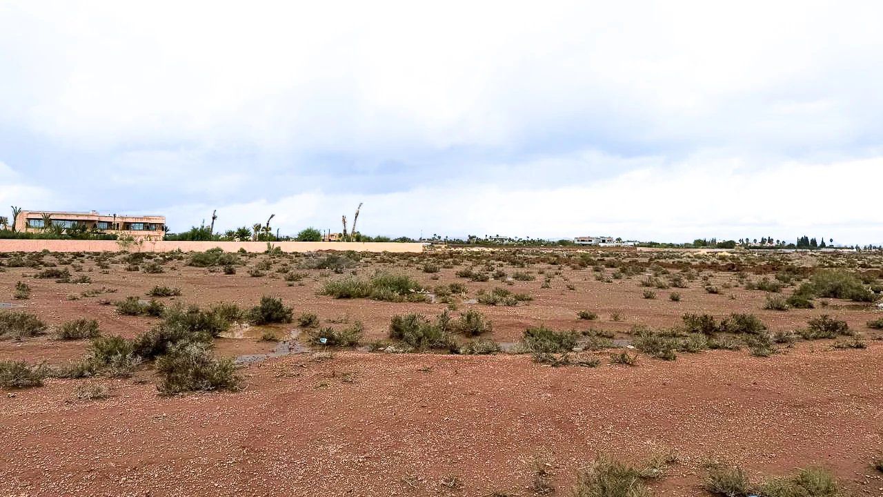Acheter Terrain 1&nbsp;ha Marrakech