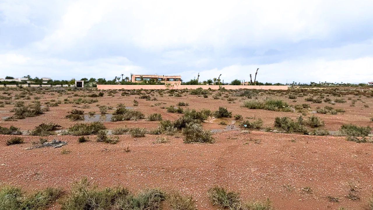 Acheter Terrain 1&nbsp;ha Marrakech