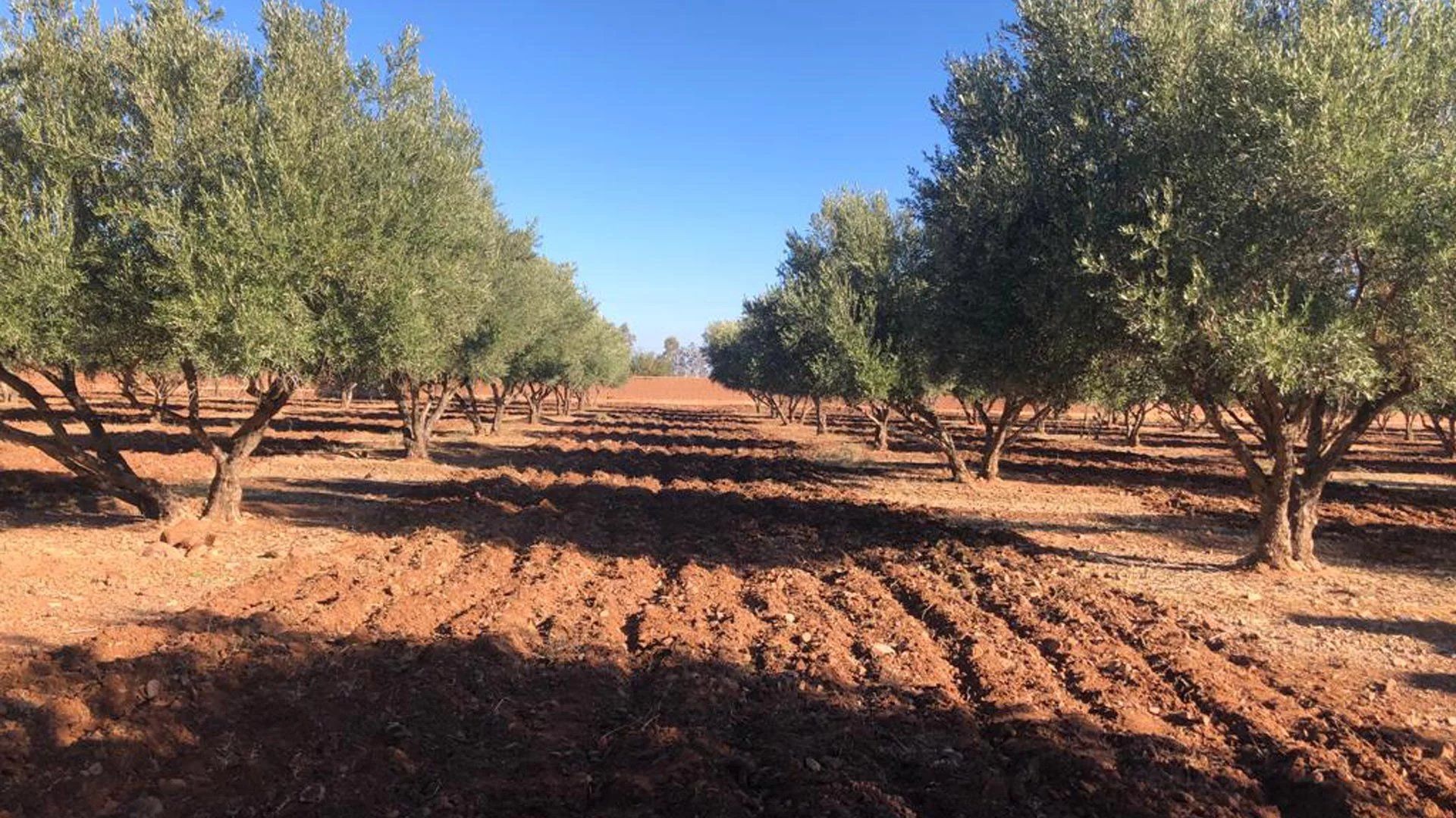 Buy Land 3&nbsp;ha Marrakech