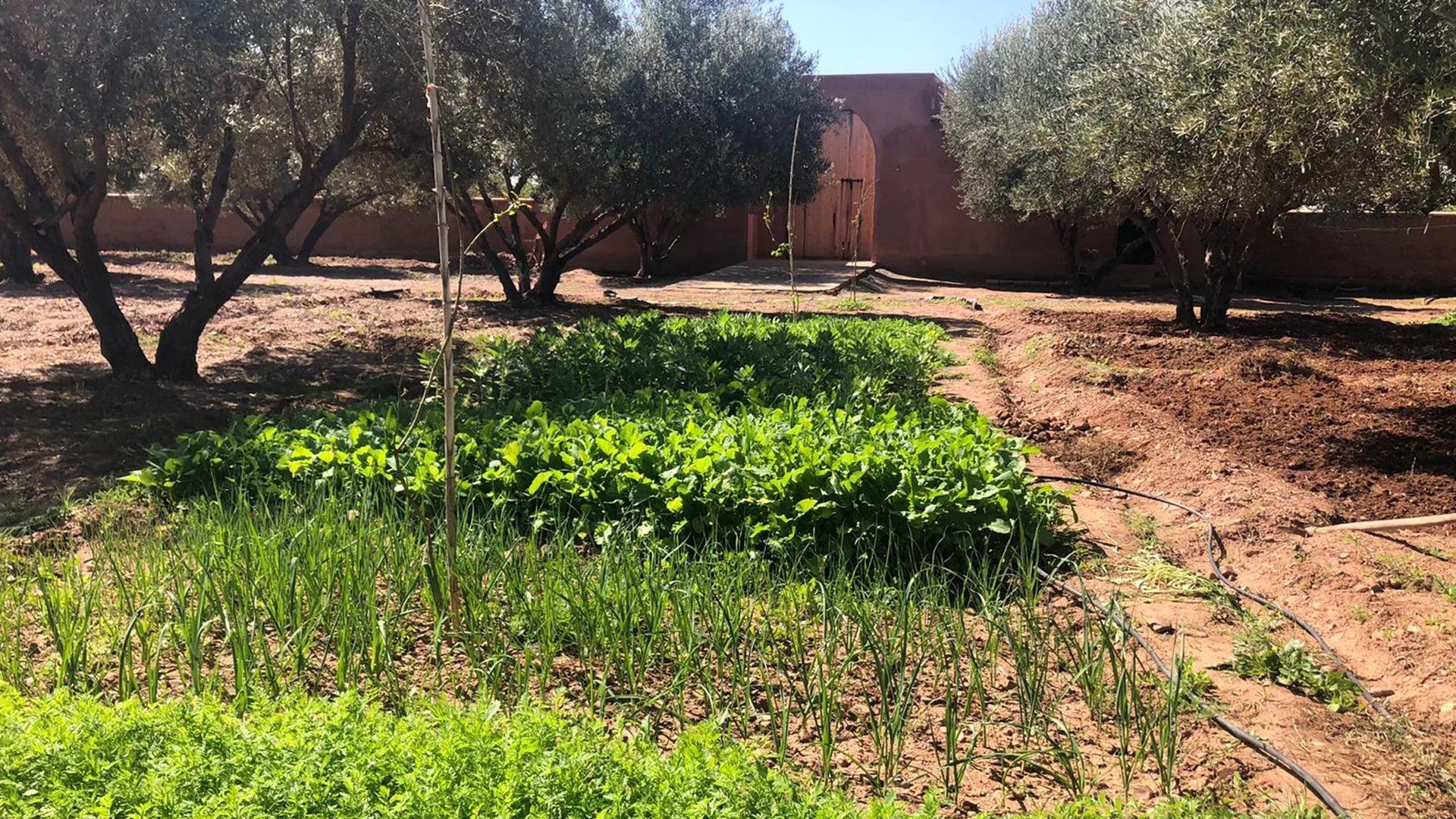 Buy Land 3&nbsp;ha Marrakech