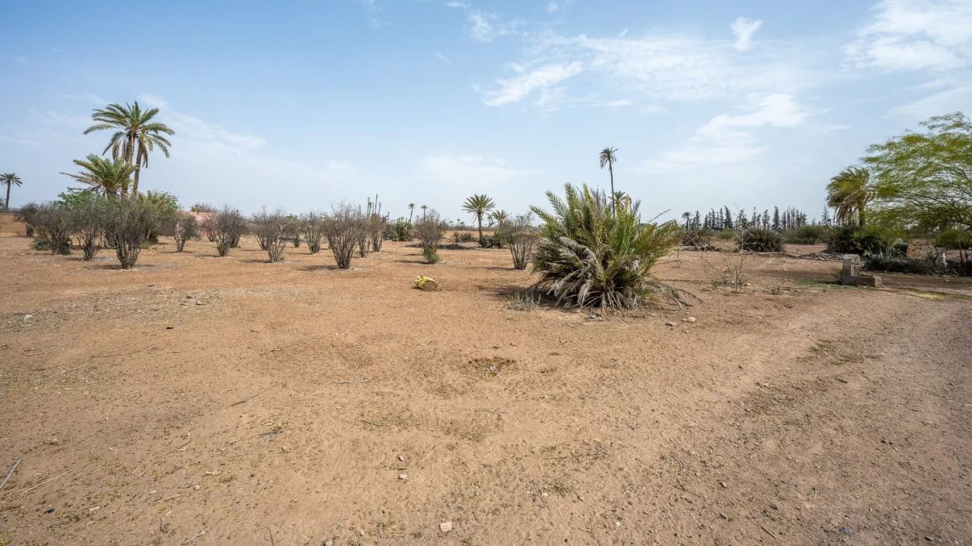terrain en vente sur Marrakech (40000) - Plus de details