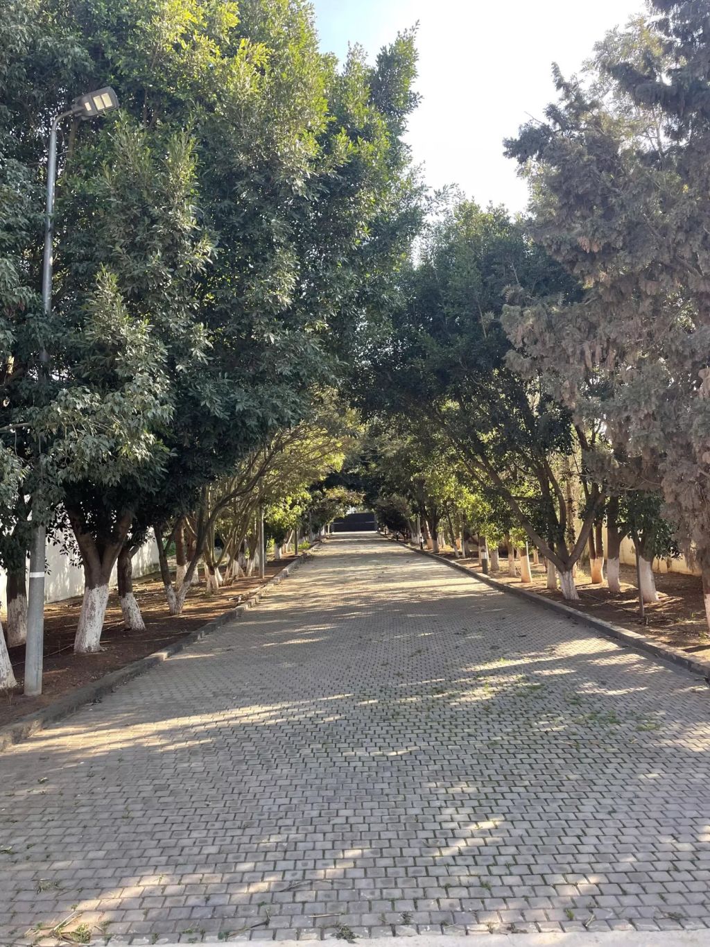 Buy Farmhouse 13 rooms 800 m² Casablanca
