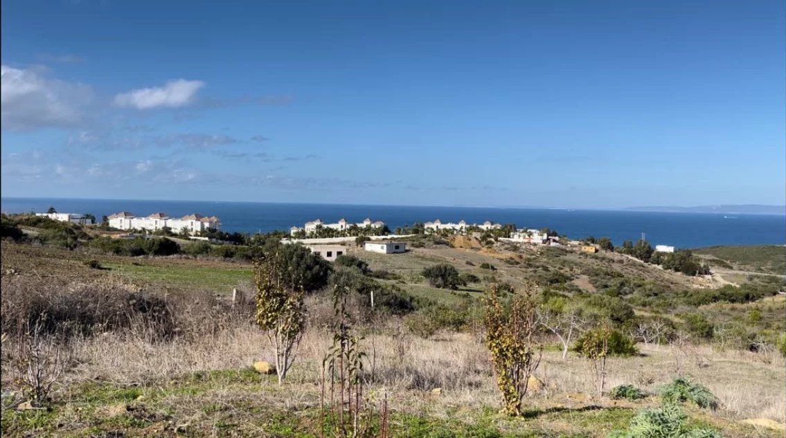 terrain en vente sur Tanger (90000) - Plus de details
