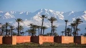 terrain en vente sur Marrakech (40000) - Plus de details