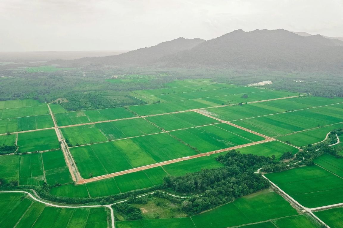 terrain en vente sur Kénitra (14000) - Plus de details