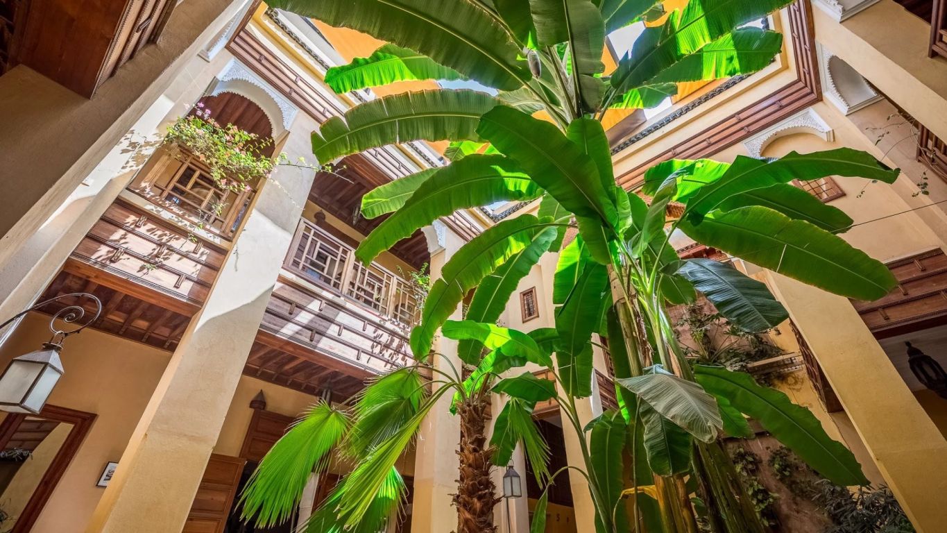 riad 13 pièces en vente sur Marrakech (40000) - Plus de details